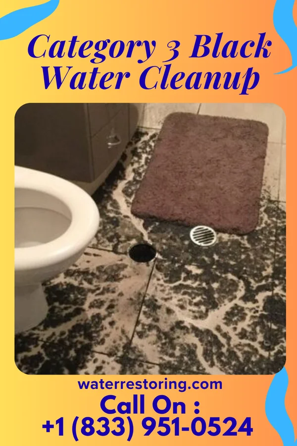 Category 3 Black Water Cleanup in Franconia, VA