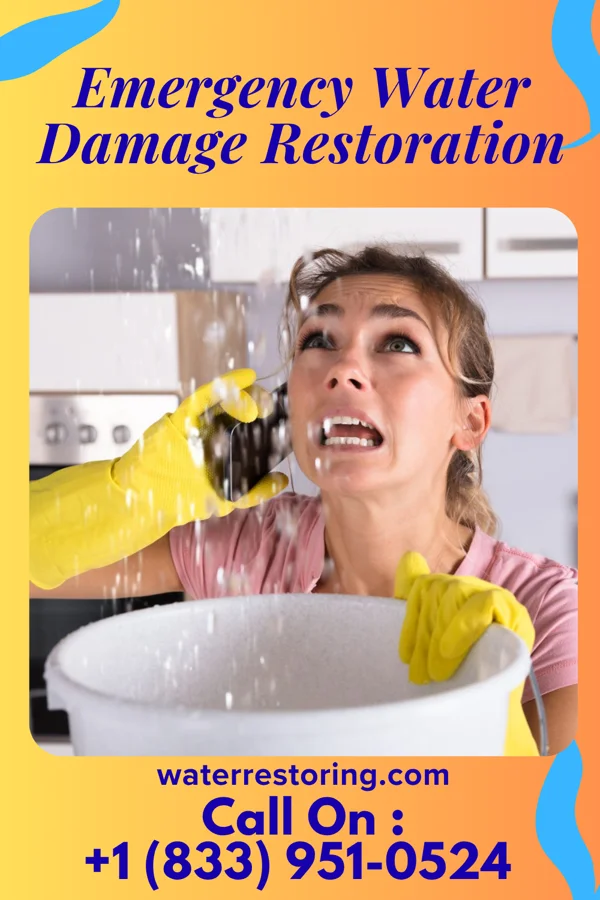Emergency Water Damage Restoration in Franconia, VA