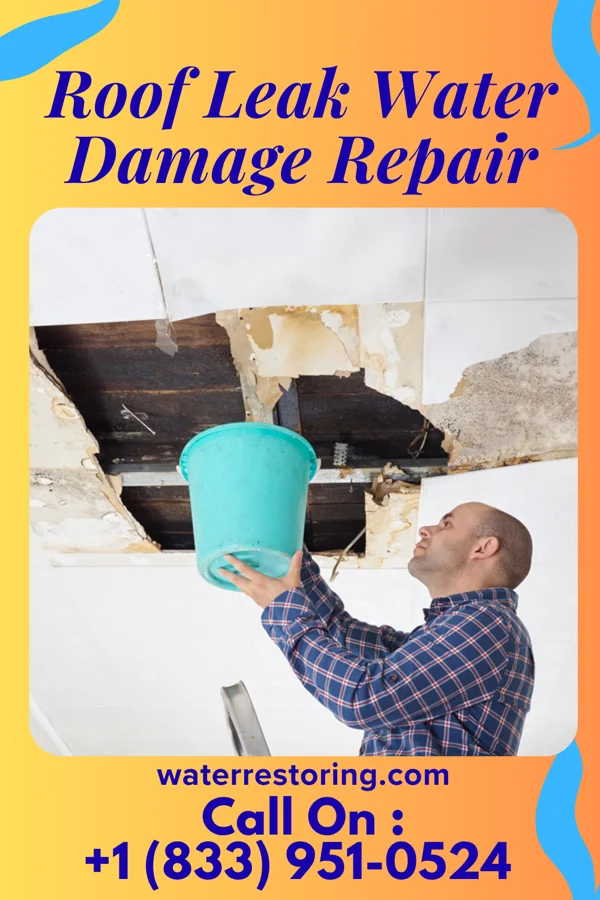 Roof Leak Water Damage Repair in Franconia, VA
