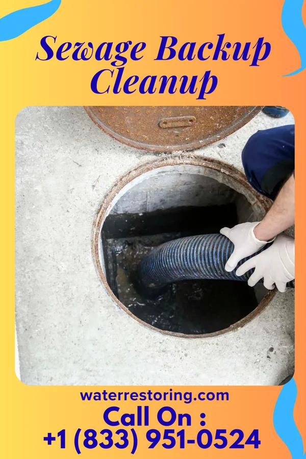 Sewage Backup Cleanup in Franconia, VA